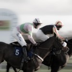 Oxford Photographer - Stratford Races - First past the finishing post