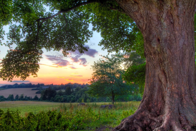 Cotswold Sunset, extreme HDR photograph in direct sunlight