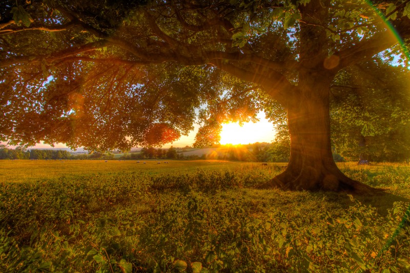 Cotswold Sunset - Extreme HDR into direct sunlight