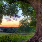 Cotswold Sunset, extreme HDR photograph in direct sunlight